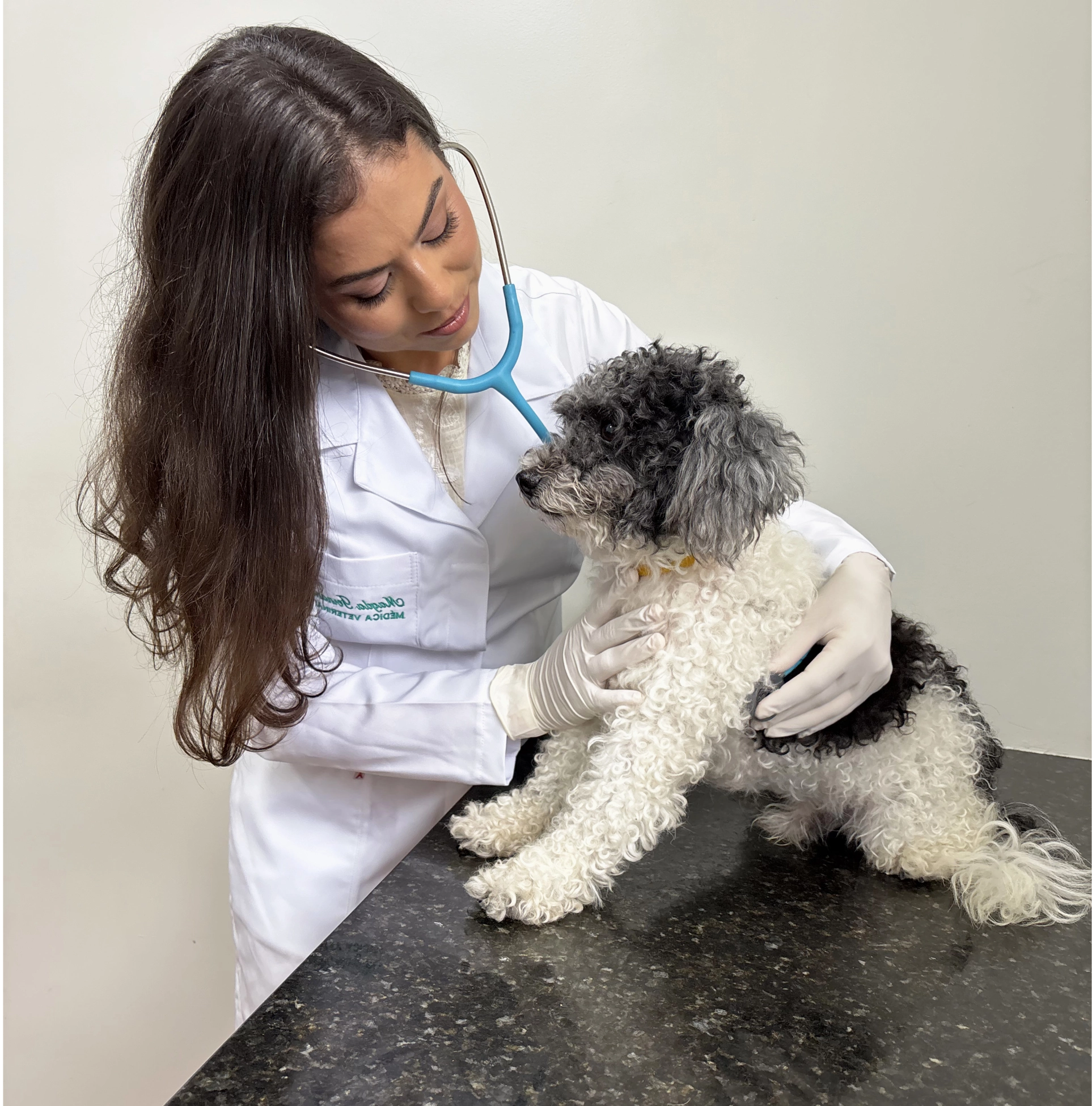 Consultórios da Plantare Pet Store - Vista 1