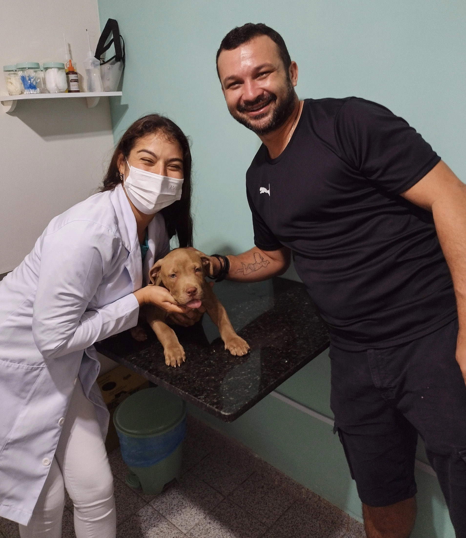 Clínica Veterinária Magda Fernandes - Estrutura inicial
