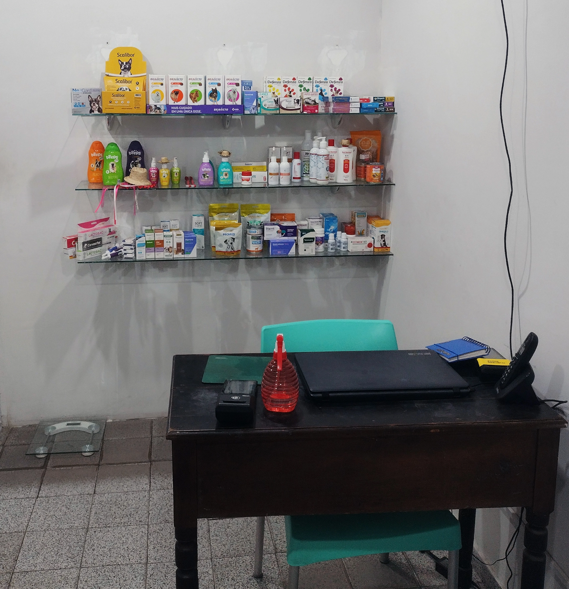 Clínica Veterinária Magda Fernandes - Estrutura inicial