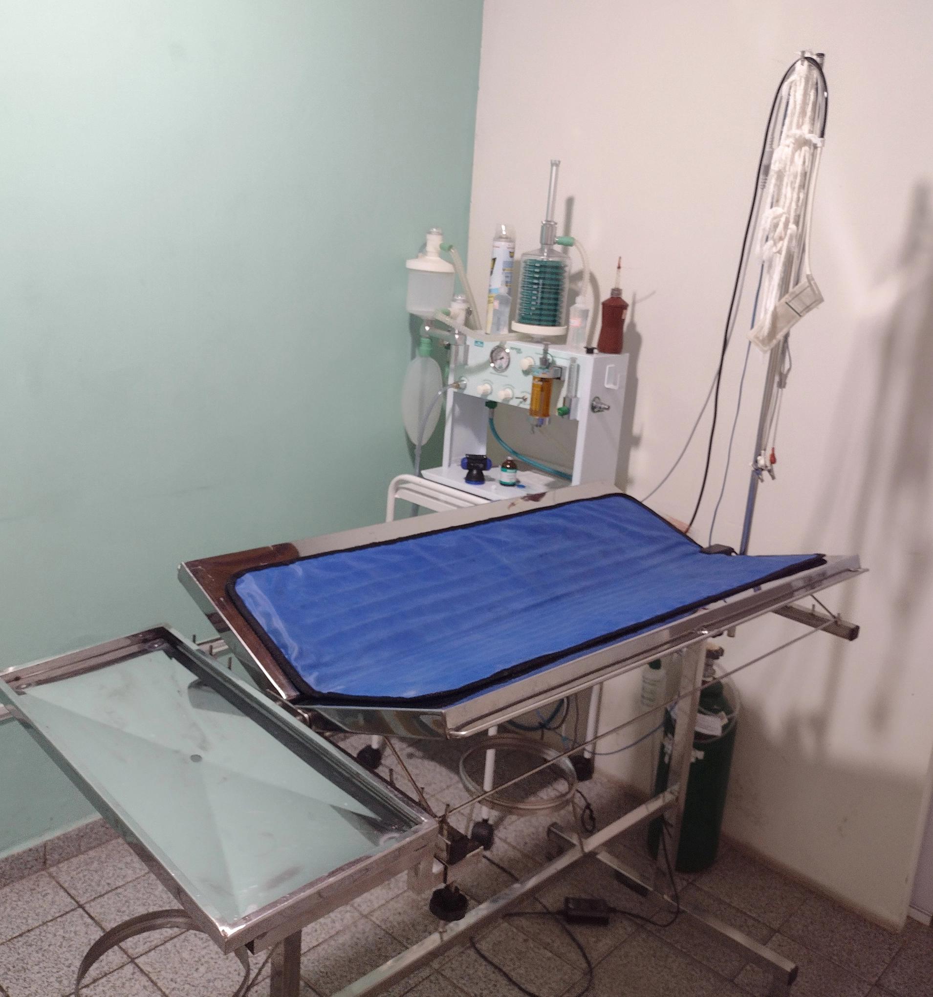 Clínica Veterinária Magda Fernandes - Estrutura inicial